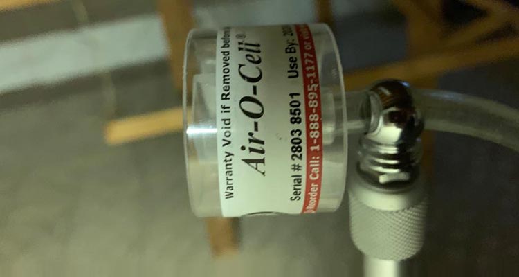 Mold Testing in Bowie