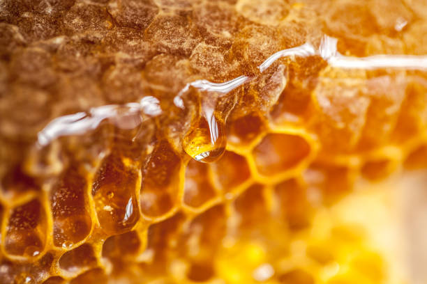 Benefits of Kashmiri Sidr Honey