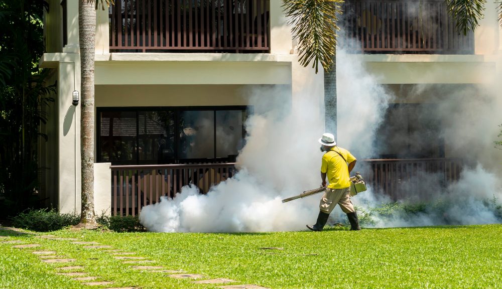 local pest control near me