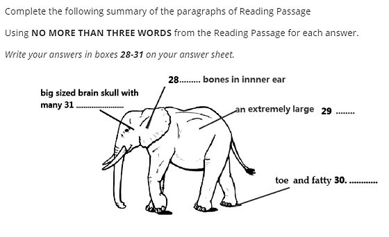 ielts reading exams