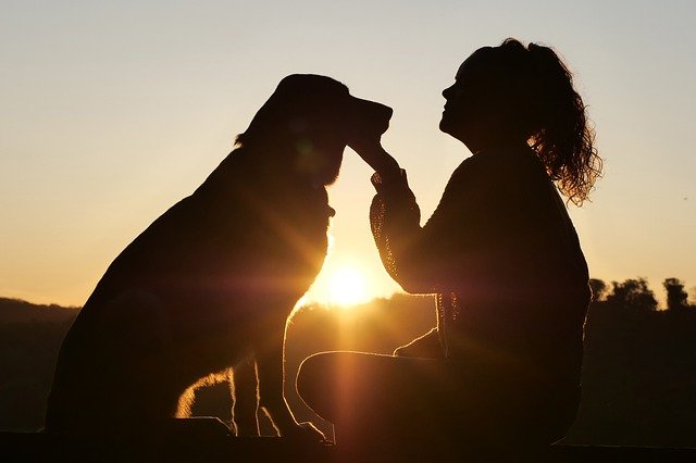 Why dogs are best friends of humans