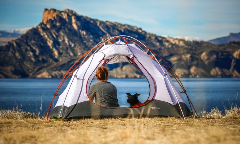 Camping with Pets