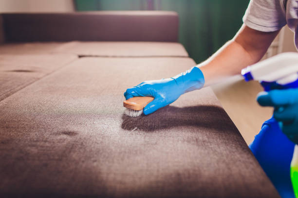 Cleaning The Couch