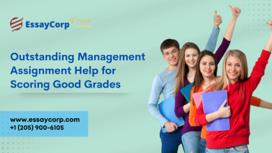 Management Assignment Help