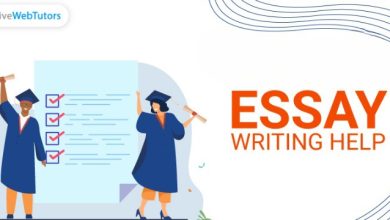 Essay Writing Service