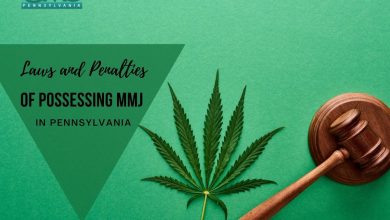 Laws and Penalties of Possessing MMJ