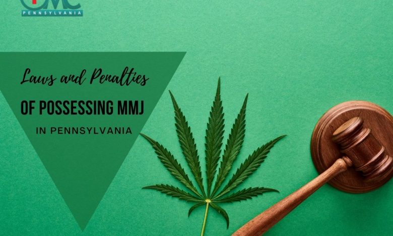 Laws and Penalties of Possessing MMJ