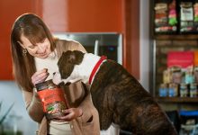 homemade dogs food