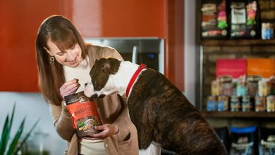 homemade dogs food