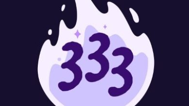 333 Angel Number