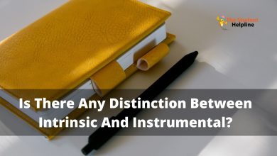 Is There Any Distinction Between Intrinsic And Instrumental