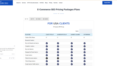 Ecommerce Seo Pricing