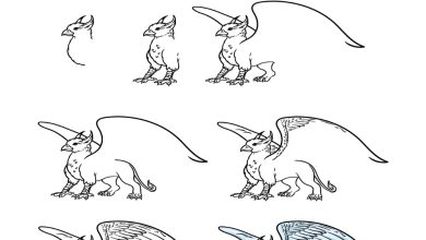 How to Draw a Griffin