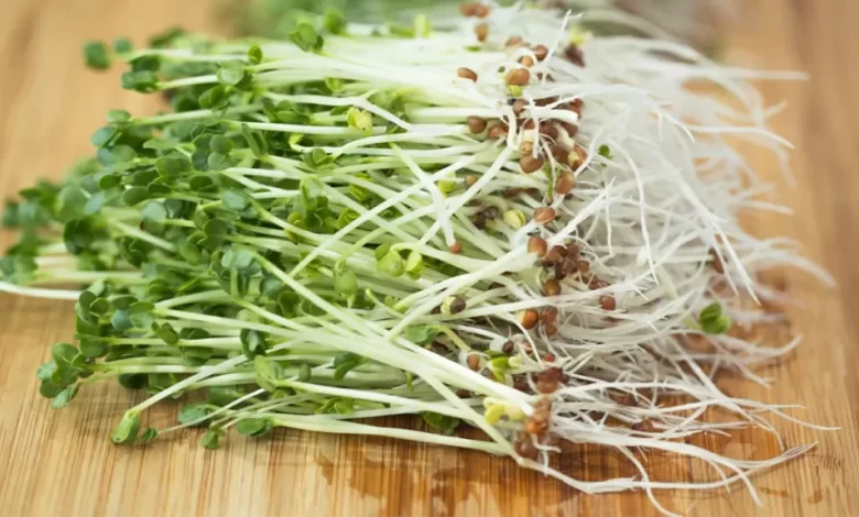 sprouts